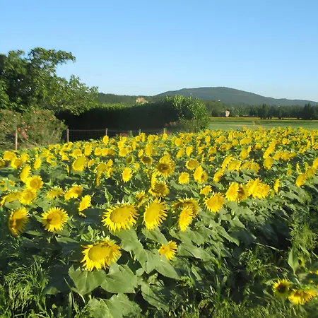 2 Sauzet (Drome)