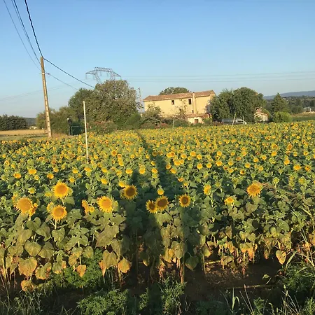 2 Sauzet (Drome)